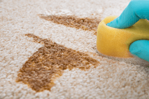 como-limpiar-alfombras-lavanderia-autoservicio