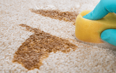 Cómo quitar las manchas de la alfombra